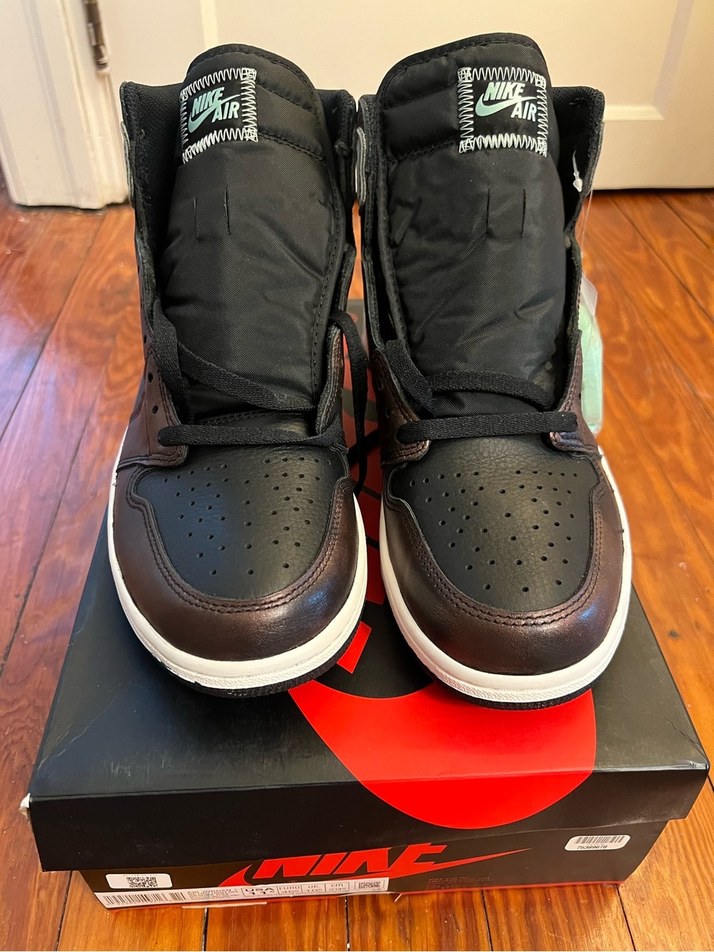 Nike Air Jordan 1 Retro High OG “Patina” (Rust Shadow/Fresh Mint) Men Size 11.5